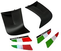 Carbonworld Winglets Carbon suitable for Ducati Panigale V4