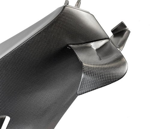 Carbonworld Winglets Carbon suitable for Ducati Panigale V4