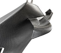 Carbonworld Winglets Carbon suitable for Ducati Panigale V4