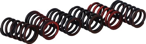 Surflex Clutch spring set - SM119/6 - HONDA - MORINI