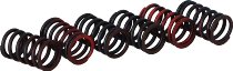 Surflex Clutch spring set - SM119/6 - HONDA - MORINI