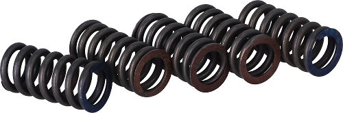 Surflex Clutch spring set - SM16/5 - KTM