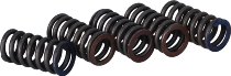 Surflex Kupplungsfedernsatz SM16/5 - KTM