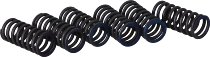 Surflex Kupplungsfedernsatz SM18/6 - KTM
