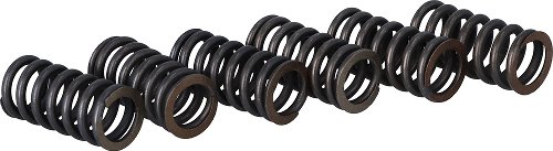 Surflex Clutch spring set - SM19/6 - KTM