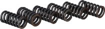 Surflex Kupplungsfedernsatz SM19/6 - KTM
