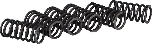 Surflex clutch spring kit SM111/6 - Ducati