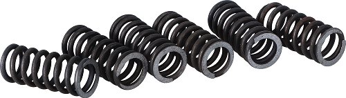 Surflex clutch spring kit SM93/6 - Suzuki