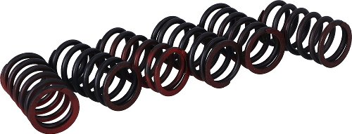 Surflex clutch spring kit SM159/6 - Husquarna