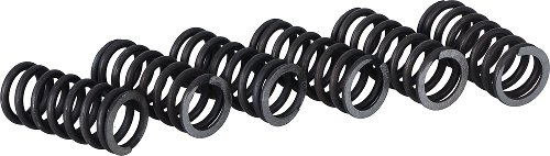 Surflex clutch spring kit SM100/6 - Aprilia, BMW