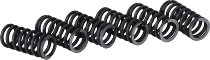 Surflex Kupplungsfedernsatz SM100/6 - Aprilia, BMW