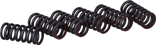 Surflex clutch spring kit SM168/6 - Ducati