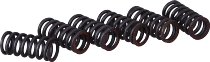 Surflex Kupplungsfedernsatz SM168/6 - Ducati