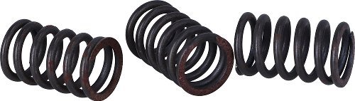 Surflex clutch spring kit SM110/6 - Benelli