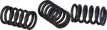 Surflex clutch spring kit SM110/6 - Benelli
