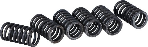 Surflex clutch spring kit SM112/6 - Ducati