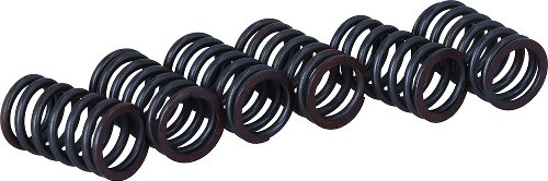 Surflex clutch spring kit SM114/6 - Kawasaki