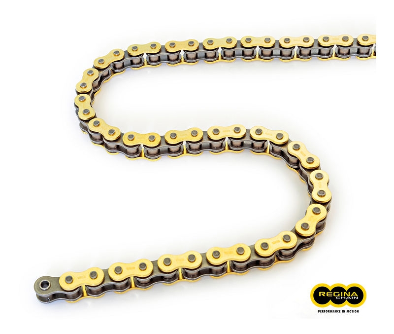 Regina Kette 520 GPXV 120 Glieder Offen + Niet +Clip