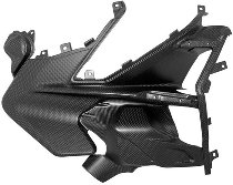 Carbonworld Verkleidungseinsätze Carbon geignet für Ducati