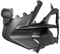 Carbonworld Verkleidungseinsätze Carbon geignet für Ducati