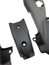 Carbonworld lower fairing cover, carbon suitable for Ducati