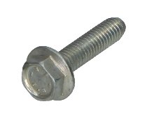 Ducati SCREW