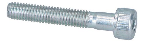 Ducati Screw M5x30 - 620, 950, 1000, 1100, 1200, 1260, V2,