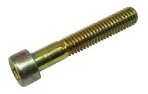 Ducati Screw - SS, Monster, S2R, S4, S4R, 748-999,