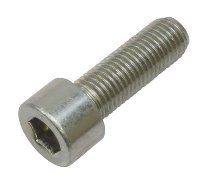 Ducati Screw M10x1,25x30 - 899, 955 V2, 959, 1199, 1299, V4