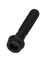Ducati Screw M5x22 - 899, 955 V2, 959, 1199, 1299, V4