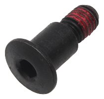 Ducati Screw - 696, 795, 796, 1100 Monster, 821, 939