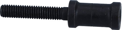 Ducati Schraube SP.M6X30-M5-CH5-H22 - FLA