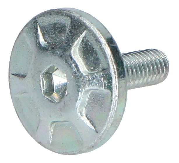 Ducati Special screw - 950, 1200, 1260 Multistrada Enduro