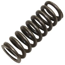 Cagiva Clutch spring - 125 SST NML