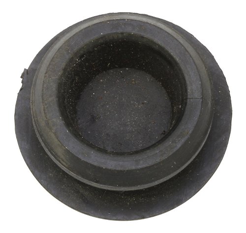 PLUG LING INSP HOLE NML