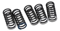 Surflex Clutch spring set - Cagiva 125 Planet / WRE Dual (5