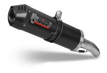 MIVV Auspuff Oval, Carbon/Carbon Endkappe, mit EG-ABE - BMW
