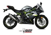 MIVV Silencer Delta Race, stainless steel/carbon cap, with