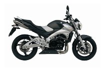 MIVV Silencer kit X-cone, stainless steel, with homologation