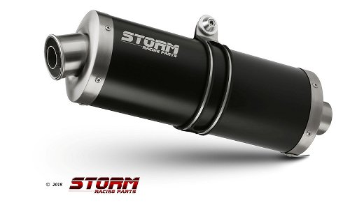 STORM Auspuff, Edelstahl schwarz, oval, mit EG-ABE - BMW F