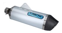 Arrow Endschalldämpfer Race-Tech Aluminium mit EG-ABE -