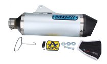 Arrow Silencer Race-Tech Aluminium with homologation -