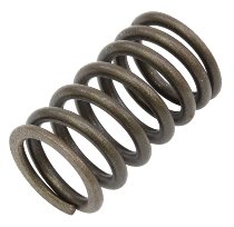Valve spring