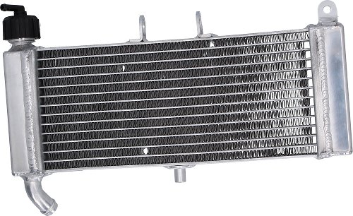 SD-TEC Radiateur à eau Aprilia 50, 125 RS, Tuono