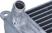 SD-TEC Radiateur à eau Aprilia 50, 125 RS, Tuono