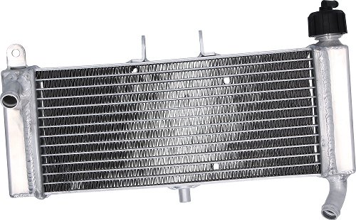 SD-TEC Radiateur à eau Aprilia 50, 125 RS, Tuono