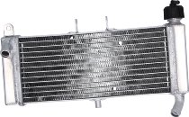 SD-TEC Wasserkühler Aprilia 50, 125 RS, Tuono