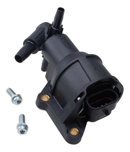 Elektromotor Standgaseinstellung