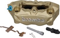 Pinza freno Brembo anteriore sinistra, oro, Ducati / Aprilia