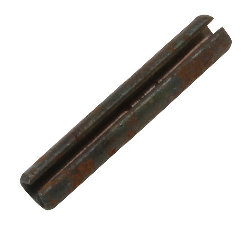 SPINA ELASTICA